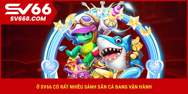 Ở SV66 có rất nhiều sảnh săn cá đang vận hành