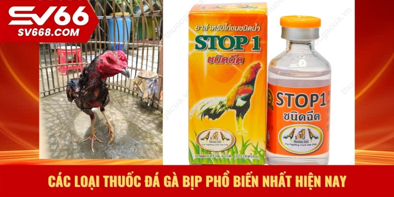 Các loại thuốc đá gà bịp phổ biến nhất hiện nay