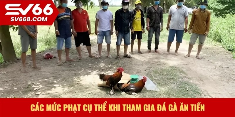 Các mức phạt cụ thể khi tham gia đá gà ăn tiền