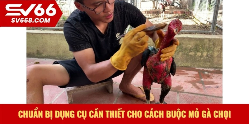 Chuẩn bị dụng cụ cần thiết cho cách buộc mỏ gà chọi