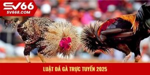 Luật đá gà trực tuyến 2025