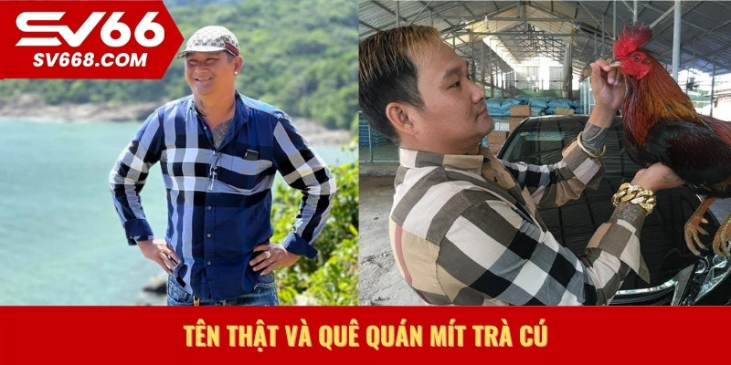 Tên thật và quê quán Mít Trà Cú