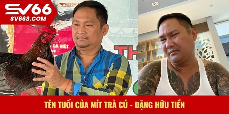 Tên tuổi của Mít Trà Cú