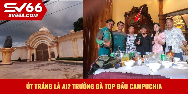 Út Tráng là ai_ Trường gà top đầu campuchia
