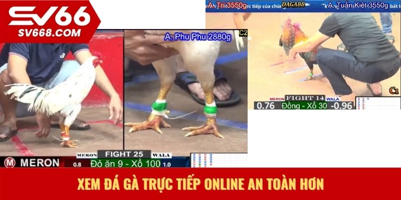 Xem đá gà trực tiếp online an toàn hơn