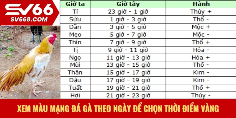 Màu mạng đá gà theo ngày để chọn thời điểm vàng