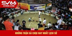 Những trận gà chọi hay nhất lịch sử