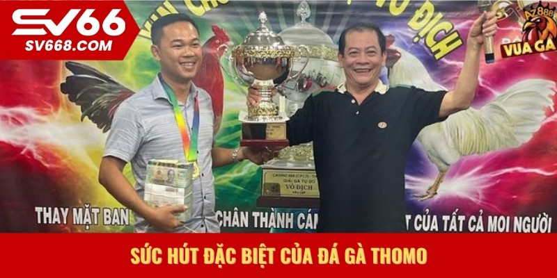 Sức hút đặc biệt của đá gà thomo