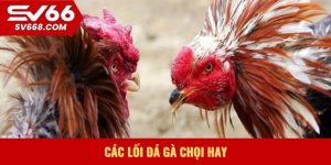 Các lối đá gà chọi hay