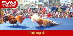 Lễ hội chọi gà