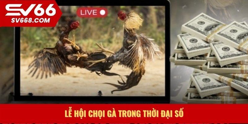 Lễ hội chọi gà trong thời đại số