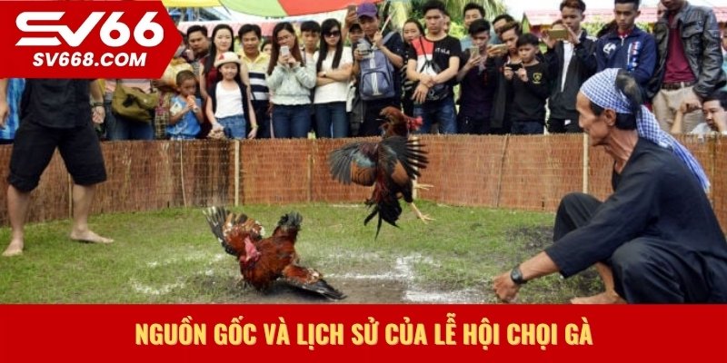 Nguồn gốc và lịch sử của lễ hội chọi gà