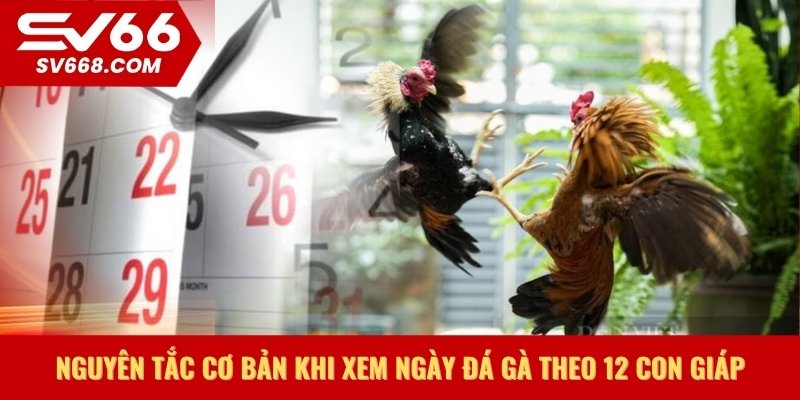 Nguyên tắc cơ bản khi xem ngày đá gà theo 12 con giáp