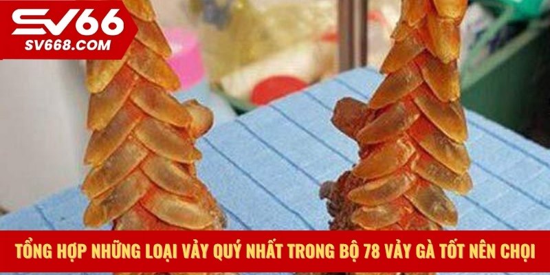 Tổng hợp những loại vảy quý nhất trong bộ 78 vảy gà tốt nên chọi