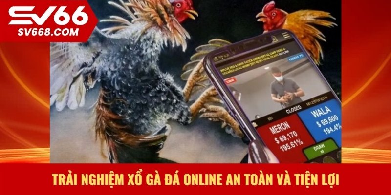 Trải nghiệm xổ gà đá online an toàn và tiện lợi