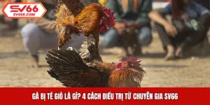 Gà Bị Té Gió Là Gì? 4 Cách Điều Trị Từ Chuyên Gia SV66