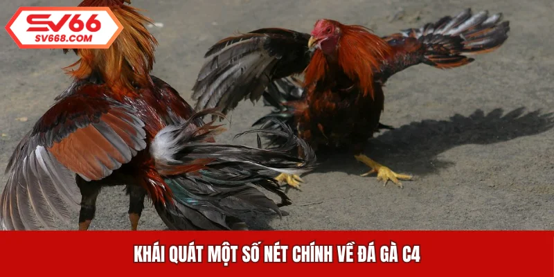 Khái quát một số nét chính về đá gà C4