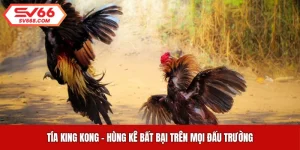 Tía King Kong - Hùng Kê Bất Bại Trên Mọi Đấu Trường