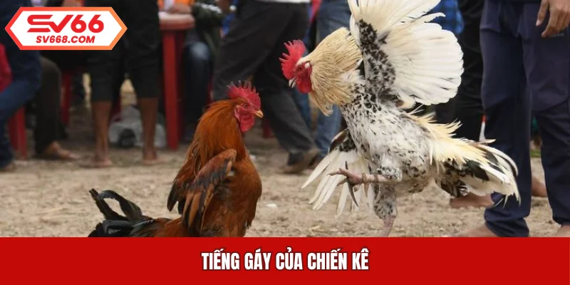 Tiếng gáy của chiến kê