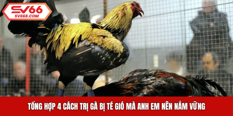 Tổng hợp 4 cách trị gà bị té gió mà anh em nên nắm vững