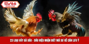 23 Loại Vảy Gà Xấu - Dấu Hiệu Nhận Biết Mà Sư Kê Cần Lưu Ý