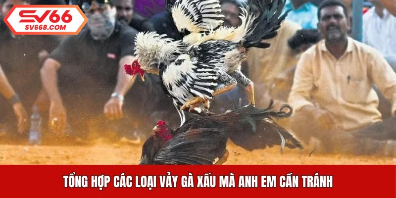 Tổng hợp các loại vảy gà xấu mà anh em cần tránh