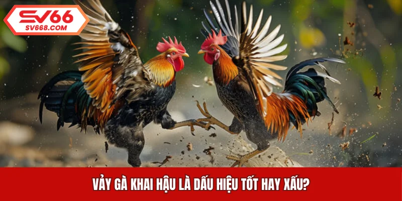 Vảy gà khai hậu là dấu hiệu tốt hay xấu?