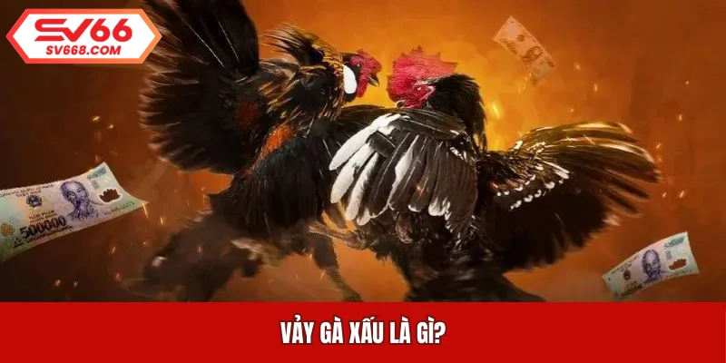 Vảy gà xấu là gì?